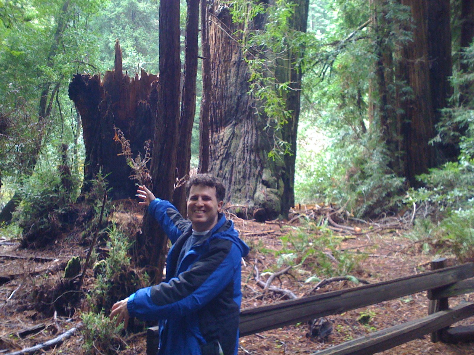 Muir Woods with Ciska Christiana - 11