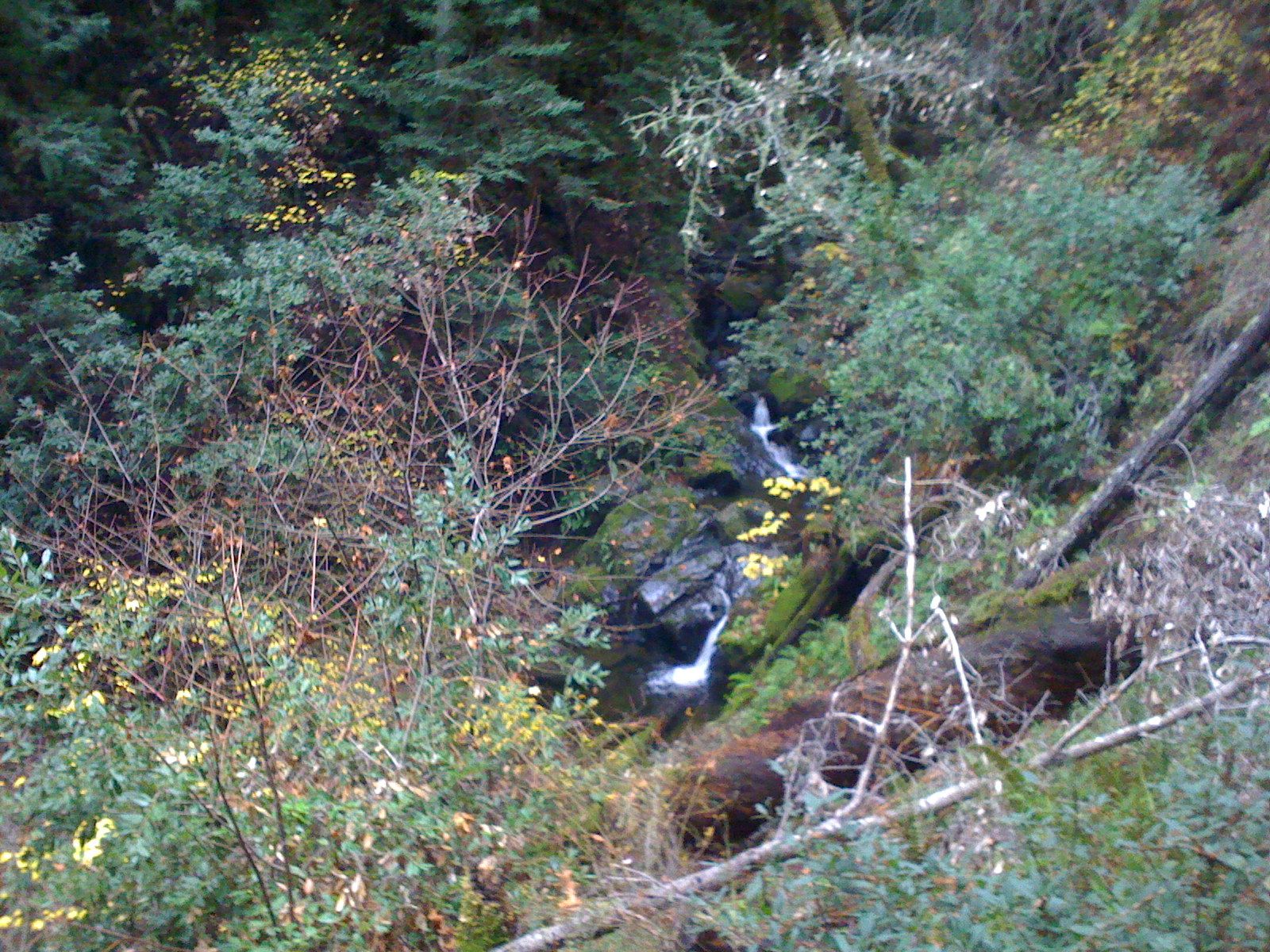 Muir Woods with Ciska Christiana - 38