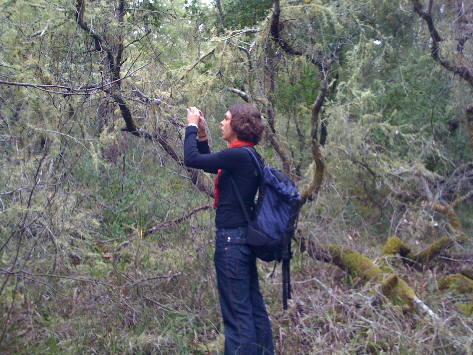 Muir Woods with Ciska Christiana - 42
