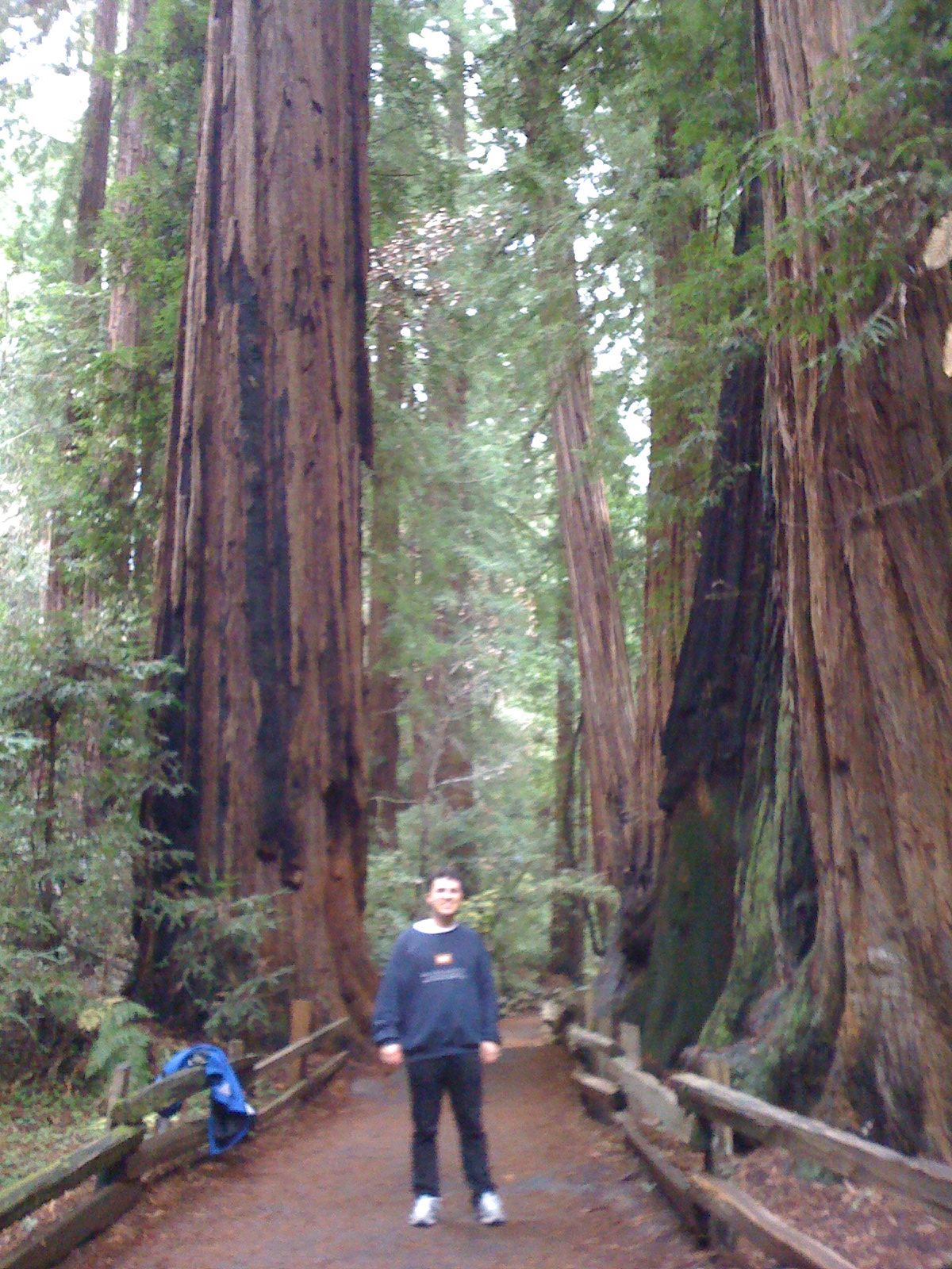 Muir Woods with Ciska Christiana - 47