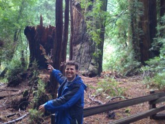 Muir Woods with Ciska Christiana - 11