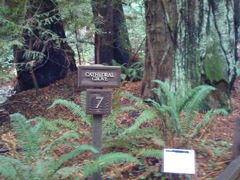 Muir Woods with Ciska Christiana - 15