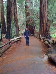 Muir Woods with Ciska Christiana - 17