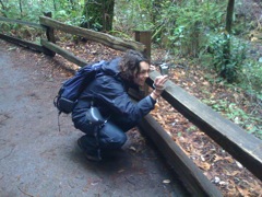 Muir Woods with Ciska Christiana - 32