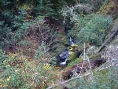 Muir Woods with Ciska Christiana - 38