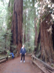 Muir Woods with Ciska Christiana - 45