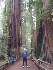 Muir Woods with Ciska Christiana - 47